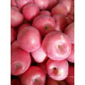 Alibaba высококачественные натуральные органические сельскохозяйственные продукты яблоки